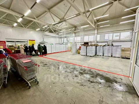 Торговая площадь в Омская область, Омск просп. Космический, 54 (72 м)