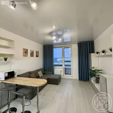 Квартира-студия: Санкт-Петербург, Суздальское шоссе, 20к4 (25 м)