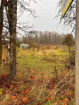 Участок в Ленинградская область, Лужский район, Володарское с/пос, д. ...