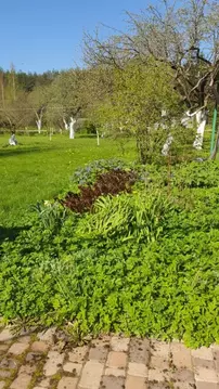 Дом в Ленинградская область, Тосненский район, Ульяновское городское ...