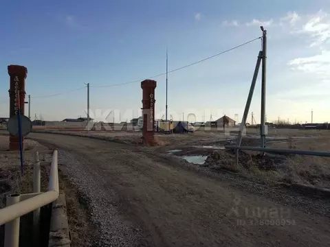 Участок в Новосибирская область, Новосибирский район, Толмачевский ...