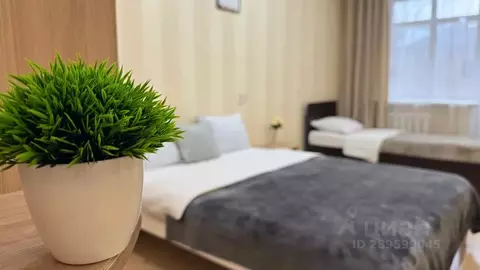 1-к кв. Архангельская область, Архангельск ул. Розы Люксембург, 12 ...