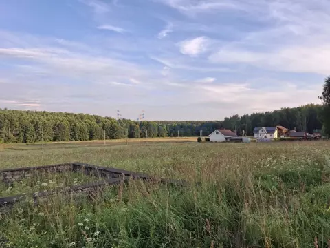 Участок в Нижегородская область, Дальнеконстантиновский муниципальный ...