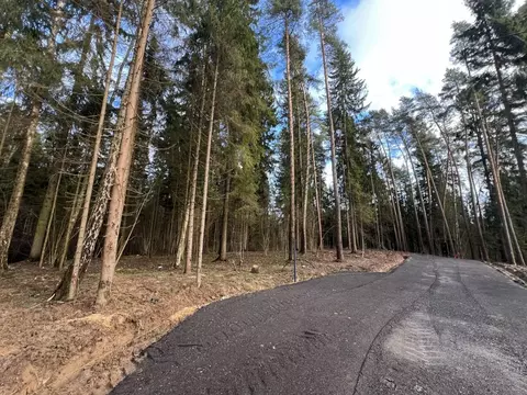 Участок в Московская область, Чехов муниципальный округ, д. Слепушкино ...