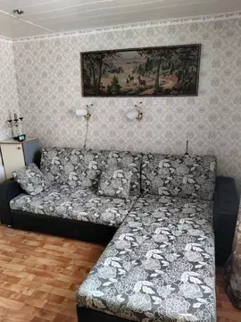 2-к кв. Иркутская область, Иркутск ул. Лопатина, 17 (47.3 м)