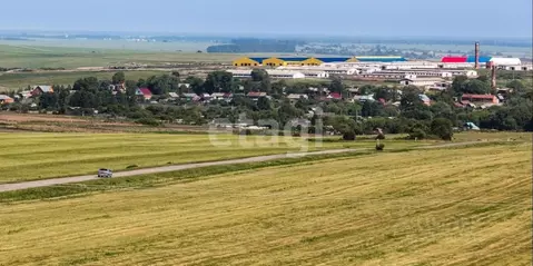 Участок в Владимирская область, Юрьев-Польский муниципальный округ, с. ...