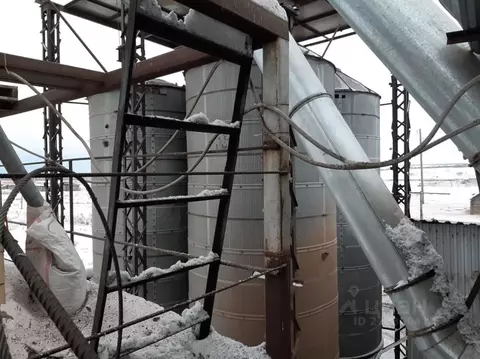 Производственное помещение в Алтайский край, Шелаболихинский район, с. ...