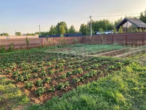 Участок в Московская область, Люберцы городской округ, Малаховка пгт ...