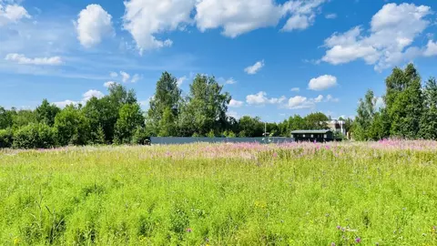 Участок в Московская область, Яхрома Дмитровский муниципальный округ, ...