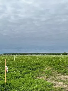 Участок в Ленинградская область, Ломоносовский район, Горбунковское ...