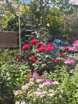 Дом в Краснодарский край, Сочи Адлер жилрайон, пер. Ключевой, 14А (20 ...