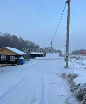 Участок в Новосибирская область, Новосибирский район, Морской ...