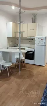 Студия Томская область, Томск Алтайская ул., 24 (30.0 м)