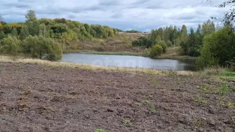 Участок в Брянская область, Жуковский муниципальный округ, д. Песочня ...
