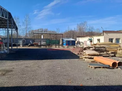 Склад в Ярославская область, Ярославль просп. Фрунзе, 93 (348 м)