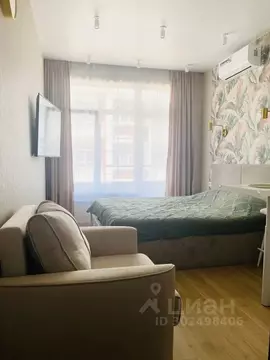 Студия Краснодарский край, Сочи ул. Ленина, 290/6 (22.0 м)