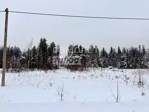 Участок в Московская область, Дмитровский муниципальный округ, Ивушка ...