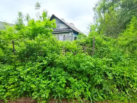 Дом в Тверская область, Пено пгт пер. Школьный, 8 (33 м)