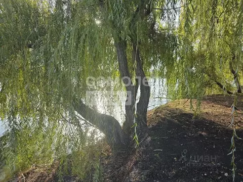 Участок в Краснодарский край, Динской район, Старомышастовская ст-ца ...