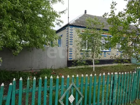 Дом в Белгородская область, Корочанский район, Кощеевское с/пос, с. ...