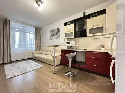 Студия Санкт-Петербург аллея Арцеуловская, 23к1 (24.0 м)