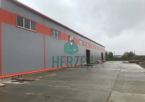 Производственное помещение в Московская область, Домодедово Белые ...
