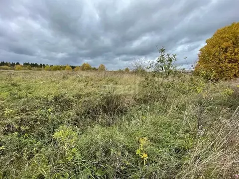 Участок в Вологодская область, Шекснинский район, Ершовское с/пос, д. ...