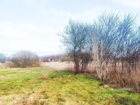 Участок в Калининградская область, Зеленоградский муниципальный округ, ...