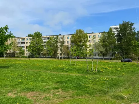 2-к кв. Санкт-Петербург ул. Добровольцев, 12 (42.0 м)
