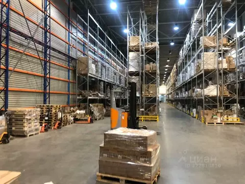 Склад в Санкт-Петербург пос. Шушары, Пулковское ш., 56к4 (1568 м)