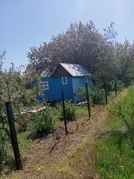 Участок в Белгородская область, Корочанский район, Мелиховское с/пос, ...