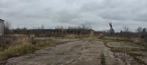 Участок в Московская область, Коломна городской округ, с. Макшеево  ...