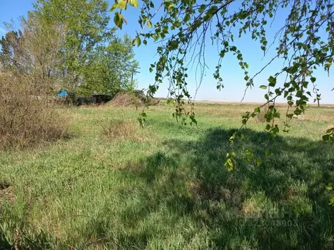 Участок в Кемеровская область, Беловский муниципальный округ, д. ...