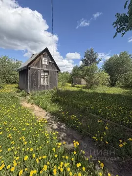 Дом в Кировская область, Кирово-Чепецкий район, Пасеговское с/пос, ...