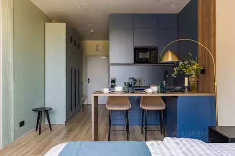 Студия Санкт-Петербург просп. Энергетиков, 8к2 (22.0 м)