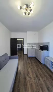 Студия Санкт-Петербург аллея Арцеуловская, 21 (24.6 м)