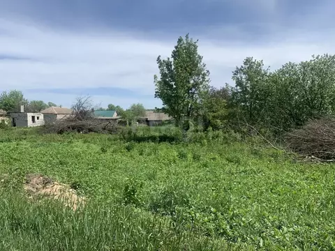 Участок в Воронежская область, Семилукский район, Губаревское с/пос, ...
