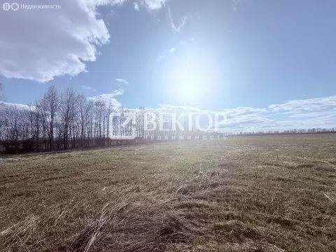 Участок в Кострома (8 м)