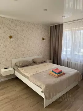 Студия Псковская область, Псков ул. Максима Горького, 25 (32.0 м)