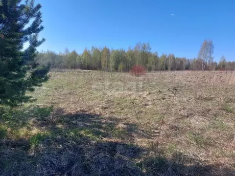 Участок в Костромская область, Костромской район, Бакшеевское с/пос, ...