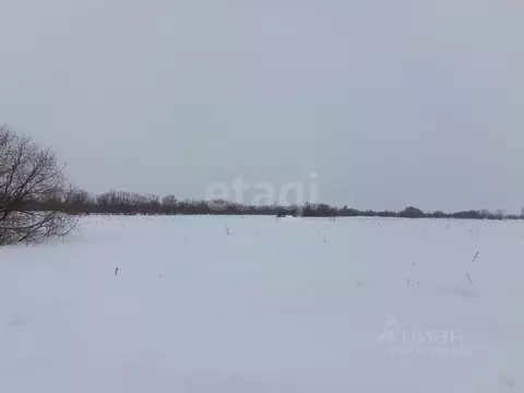 Участок в Архангельская область, Приморский муниципальный округ, д. ...