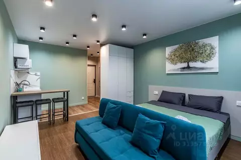 Студия Свердловская область, Екатеринбург ул. Белинского, 86 (23.0 м)