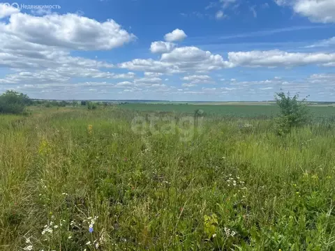 Участок в Советское, Советская улица (1500 м)
