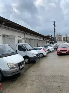 Помещение свободного назначения в Краснодарский край, Сочи городской ...