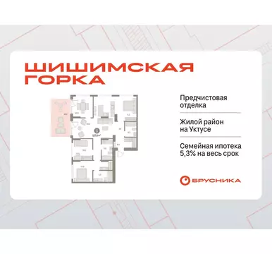 3-комнатная квартира: Екатеринбург, улица Гастелло, 18 (126.94 м)