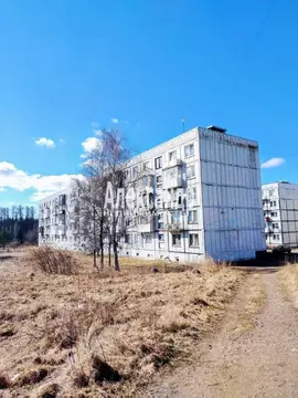2-к кв. Ленинградская область, Выборг ул. Имени А.К. Харитонова, 84 ...