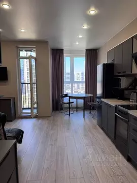 Студия Санкт-Петербург ул. Вадима Шефнера, 4 (28.0 м)