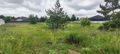 Участок в Воронежская область, Рамонский район, Айдаровское с/пос, с. ...