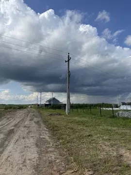 Участок в Нижегородская область, Бор муниципальный округ, д. Каликино ...
