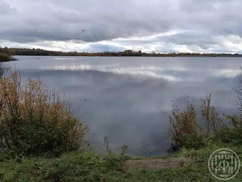 Участок в Ленинградская область, Ломоносовский район, Ропшинское ...